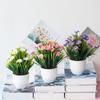 Spring Grass Chrysanthemum Artificial Flower Potted Set Home Simulation Green Plant Decoration Ornaments