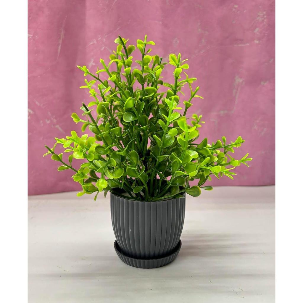 Plastic 6 Packs Fake Plants Small, Mini Artificial Plants Indoor For Home Farmhouse Bathroom Shelf Décor (Multi, Height : 17Cm)