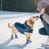 Hundestiefel Warme Haustier-Schutzschuhe Haustier-Rutschfeste Stiefel für kleine, mittlere und große Hunde Winterwandern Outdoor-Spaziergänge Camping