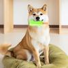 Giocattolo Rinfrescante da Masticare per Cani Bastoncino di Ghiaccio Congelabile Estivo Cono Dentizione Cucciolo