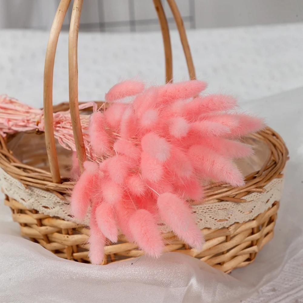 50Pcs Fluffy Bunny Rabbit Tail Grass Dried Flowers Bouquet Wedding Christmas Decor Natural Pampas Boho Home Autumn Decoration