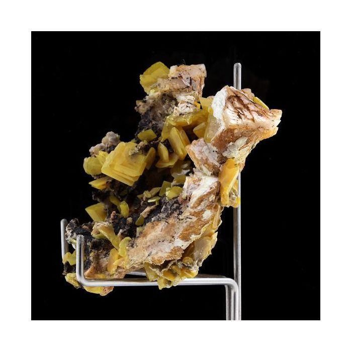 Pierres et Minéraux. Wulfenite. 233.5 ct. Touissit, Jerada Province, Maroc.