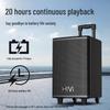 Hivi MA08 8-inch Bluetooth Trolley Speaker