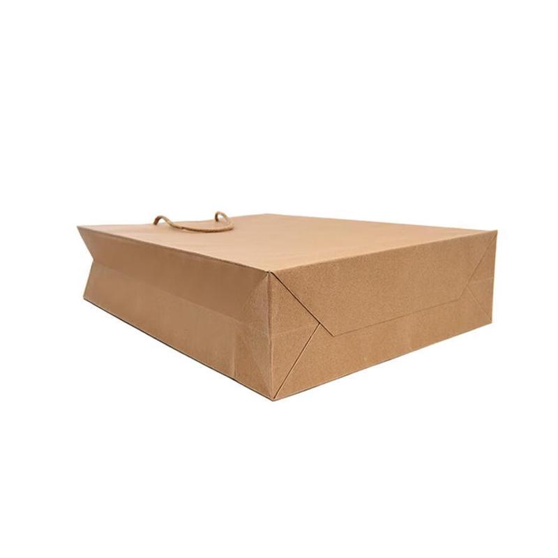 Cqint QtZD-001 Medium Vertical Kraft Paper Bags, 10-Pack