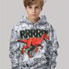 Children's Clothing Hoodies Kids Clothes  Children Top Long Sleeve Cartoon Dinosaurs Print Spring And Autumn Outdoor Clothes