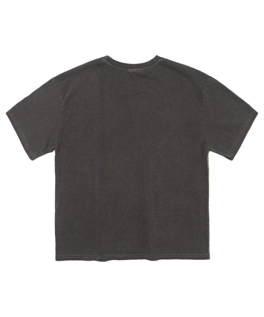OTHERFITS Pigment Plain Crop Short Sleeve Tee (Brown)