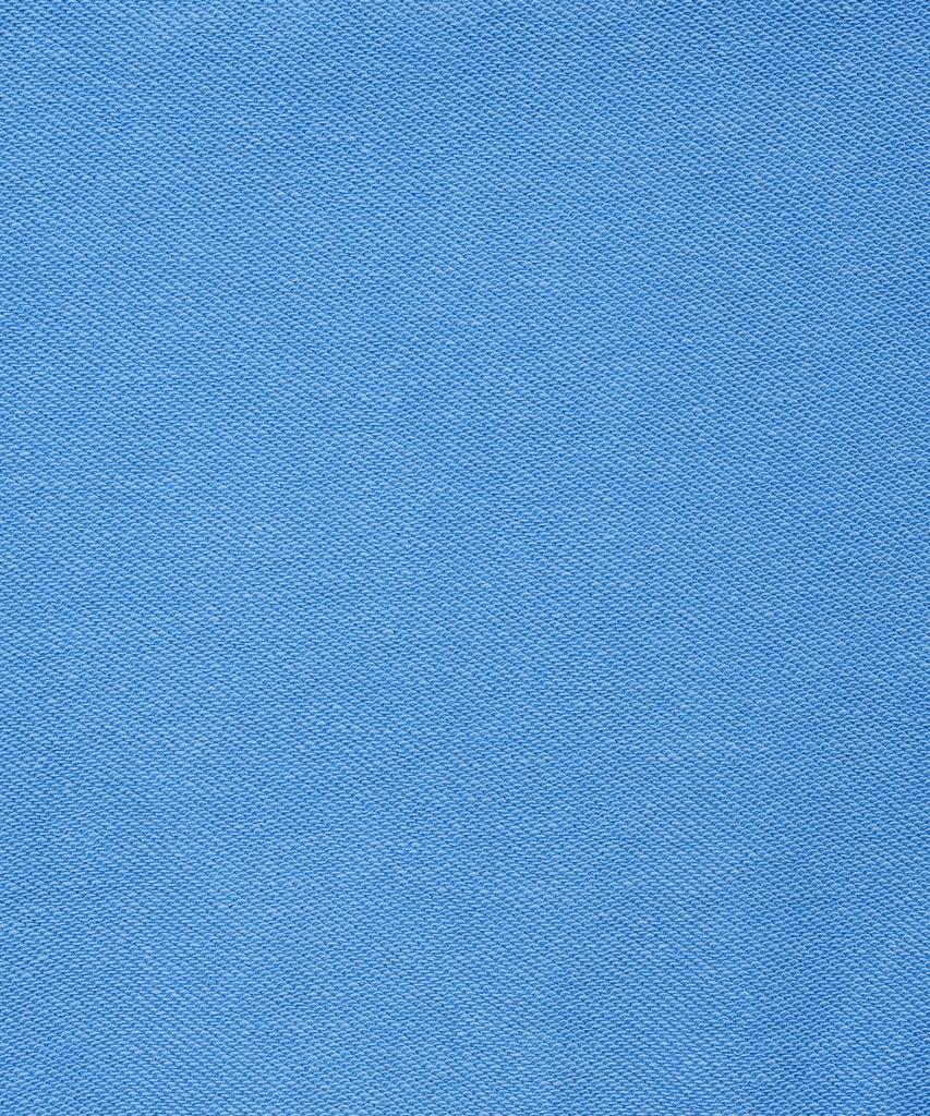 WACKY WILLY Women'S Pigment Applique Sweatshirt Blue