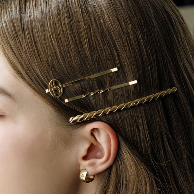 

HAS HFS035 [4 SET] Twist shaped hair pin set none