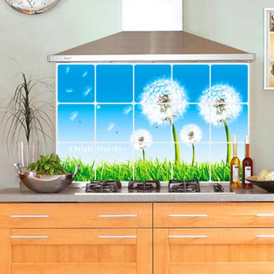 Oliebestendige Keuken Muursticker Roos Tulp Bloem Dolfijn Paardenbloem Zelfklevend Waterdicht Hittebestendig Badkamer Keuken Muurkunst Sticker Decoratie