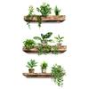 Self-Adhesive Wall Decal Plant Pot Holder for Bedroom & Living Room Decoration