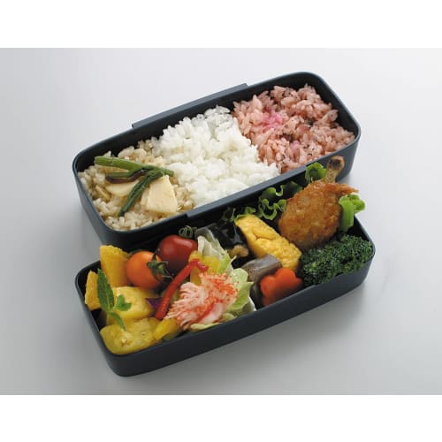 Skater Shokado 2 Tier Bento Box 900ml Made in Japan Modern Plus POW5S-A