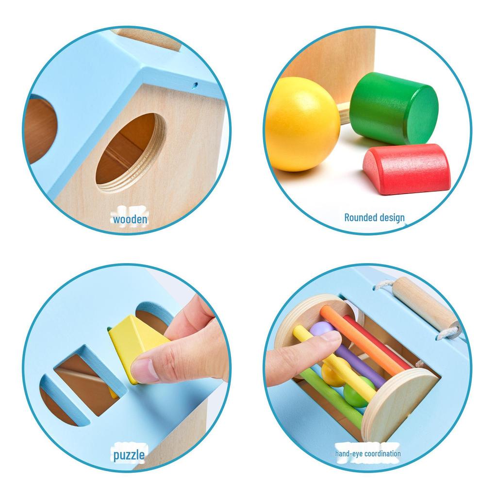 Montessori 4-in-1 Wooden Educational Toy: Coin Drop & Ball Box for Early Childhood Learning