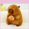 Plush Capybara Toy Cute Cartoon Hugging Persimmon Girl Kid Birthday Holiday Gift
