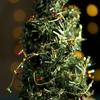 5/10Meters Christmas Garland Colorful Fake Bulbs Fairy Light String Xmas Tree Ornaments Home Decoration 2025 New Year DIY Gifts