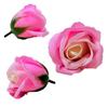 Two-colored Soap Rose - Pink-cream