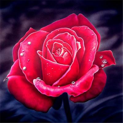 5D diamant peinture fleurs photos diamant mosaïque point de croix diamant broderie Rose