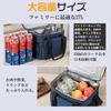 Small Cooler Insulated Soft Large Foldable for Handbag Shoulder Lunch Perfect for Sports Cherry Blossom Box, Foldable, Bag, Cooler, Capacity, 30L,