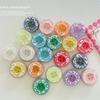 Korean Fresh Style Magnetic Phone Holder & Ring