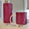 Pantone Mug (Overjin 229)