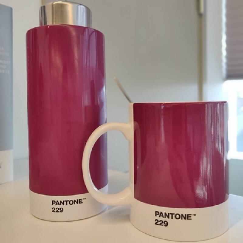 Pantone Mug (Overjin 229)