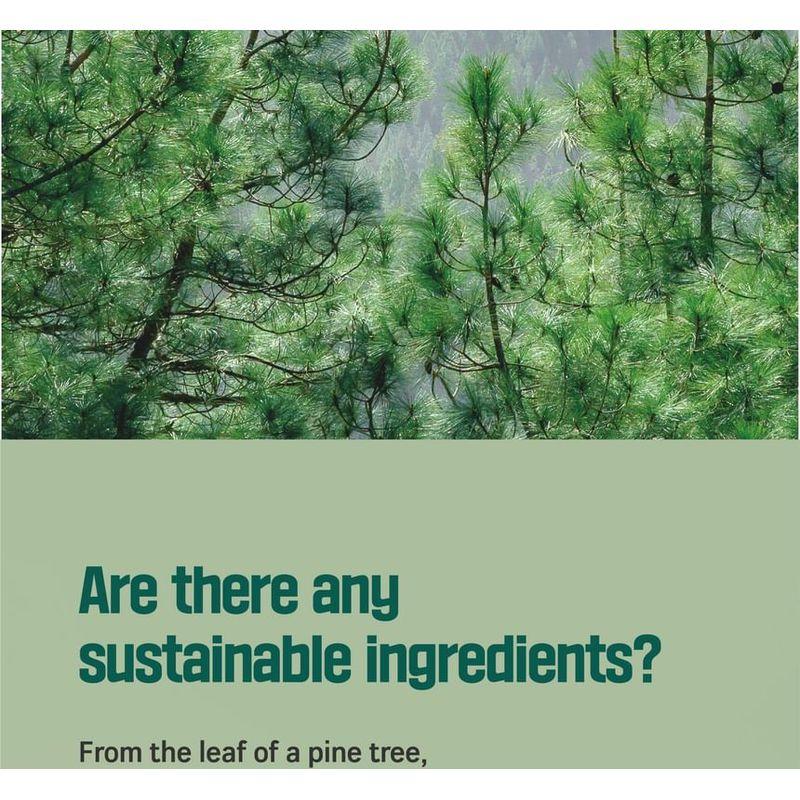 ROUND LAB Pine Calming Cica Cleanser