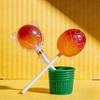 300Pcs Lollipop Cake Treat Bag Set Paper Lollipop Stick Chocolate Candy Wrappers for Gift Giving and Celebration