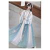 Chinese Wei And Jin Dynasties Style Hanfu Printed Collar Blouse And Waist-length Skirt Women's Suit