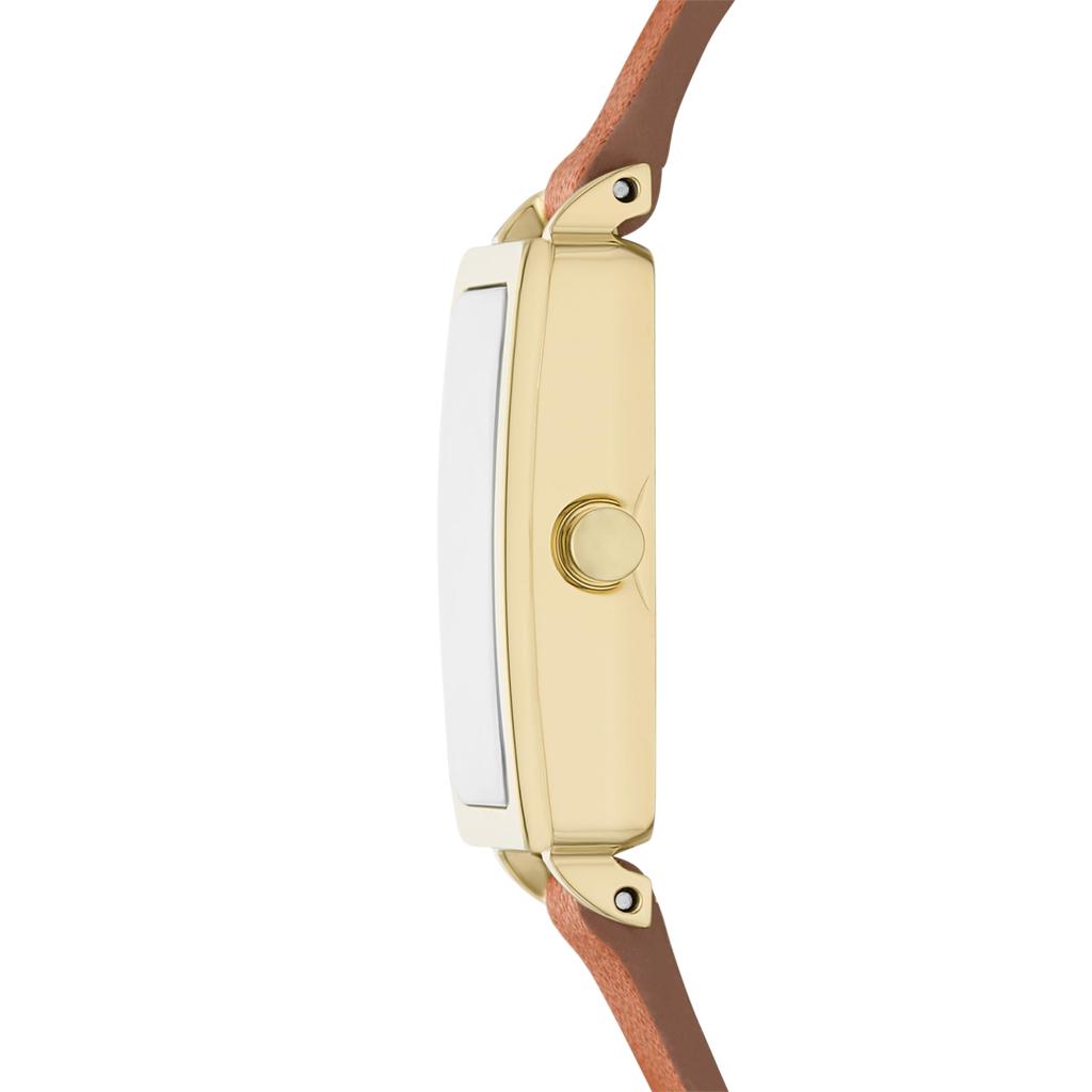 Montre HAGEN MICRO SKW3149 Marron [Skagen] Femme