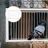 Metal Wire Bars Frame Pigeon Cage Door 30/40cm Bird Cage Entrance Pigeon Trap Door  Loft Gate