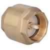 2 inch check valve