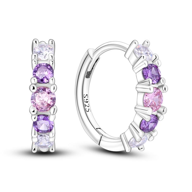 925 Sterling Silver Hoop Earrings Closely Set Purple Zircon Iris Butterfly Star Moon Cat Earrings for Women Fashion Jewelry Gift