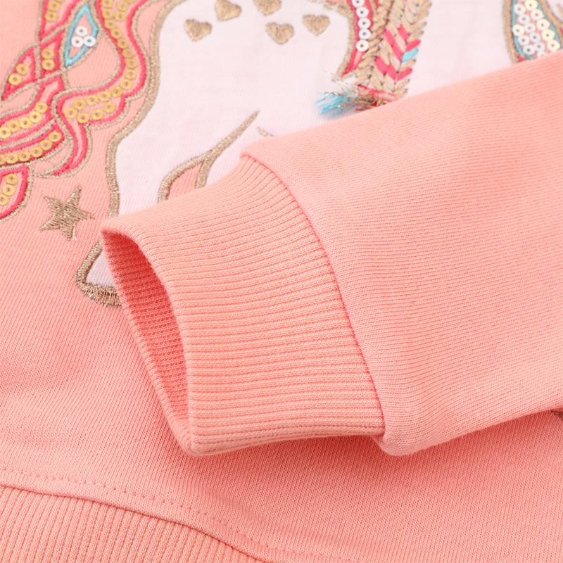 New Arrival: Girls' Autumn Hoodie with Cute Unicorn Cartoon Embroidery - European & American Style