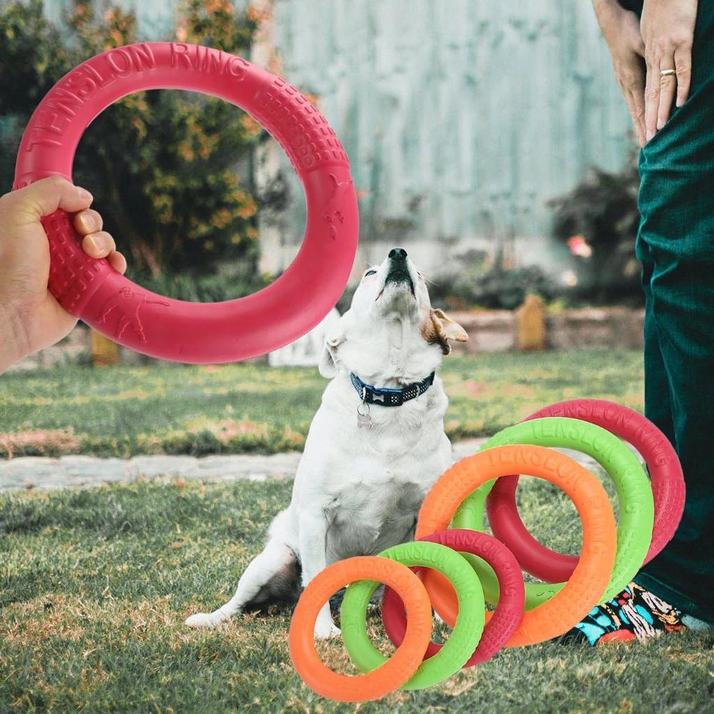 foam dog frisbee