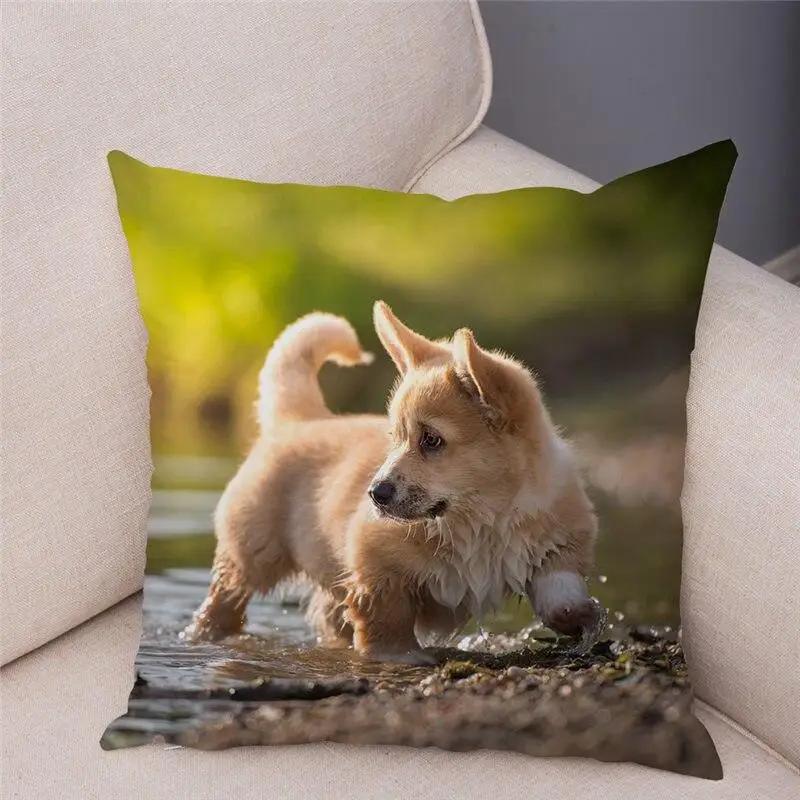 Cute Welsh Corgi Pembroke Dog Pillow Case Cm Cushion Cover Polyester Decorative Pet Animal   Car Sofa Home