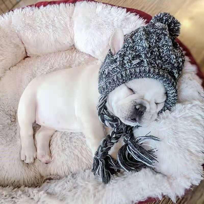 Pet Cat Hats, Big Dog Cats, Dog Pet Supplies, Autumn and Winter Dog Wool