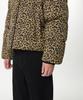 Musinsa Standard [Noh Hong-Chul Collaboration] Lucky Guy Leopard Short Padded Jacket [Beige]