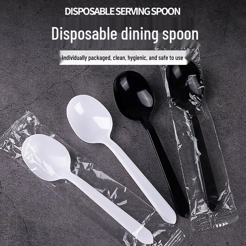 ZISIZ Disposable Plastic Spoons