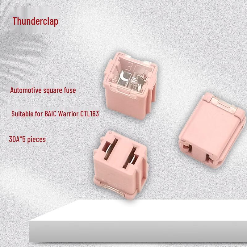 Lei Xiang 30A Square Car Fuse 5-Pack for BAIC Warrior CTL163