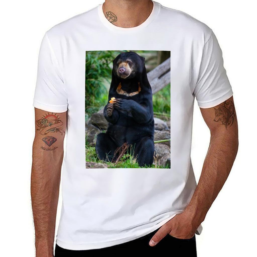Malayan Sun Bear Contemplating TShirt Simple Solid Color Crew Neck Tee
