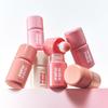 [WAKEMAKE] Shaking Blur Cheek 4g