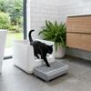 Splash-proof Pet Pedal Step Stool Non Slip Cat Litter Ramp Practical Cat Litter Box Step  for Cats
