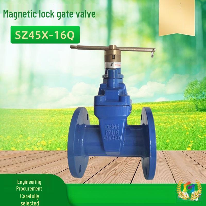 Magnetic Flanged Anti-Theft Gate Valve SZ45X for Farmland Irrigation and Water Management