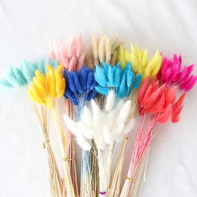 30 Pcs Colorful  Bunnytail  Dried  Flowers Literary Style Flower Arrangement Natural Rabbittail