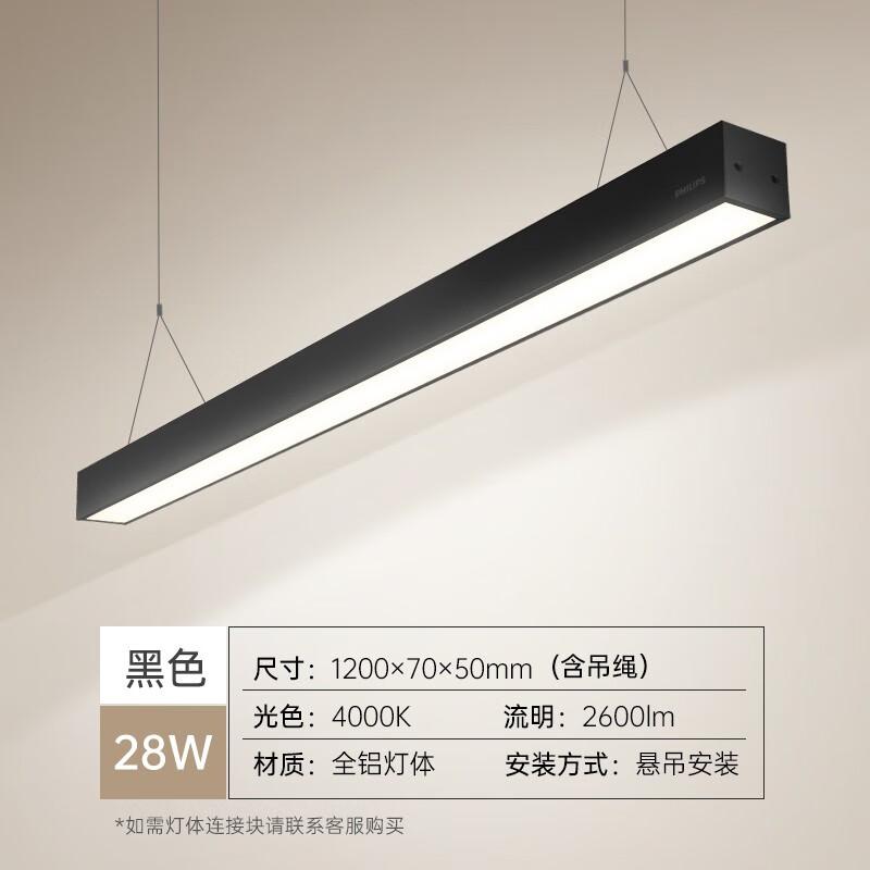 Philips RC095VG2 LED Strip Pendant Light