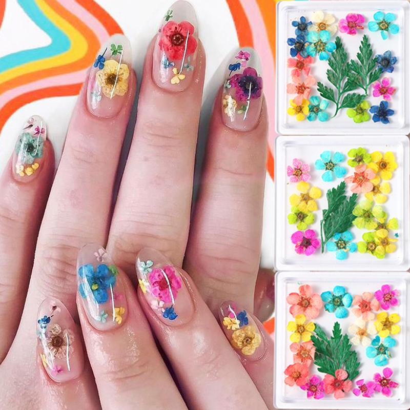 

1 коробка с цветами и листьями для нейл-арта, нежные украшения из сухоцветов для нейл-арта, изысканная красота нейл-арта