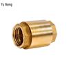 Brass Vertical Check Valve with Dual Female Thread