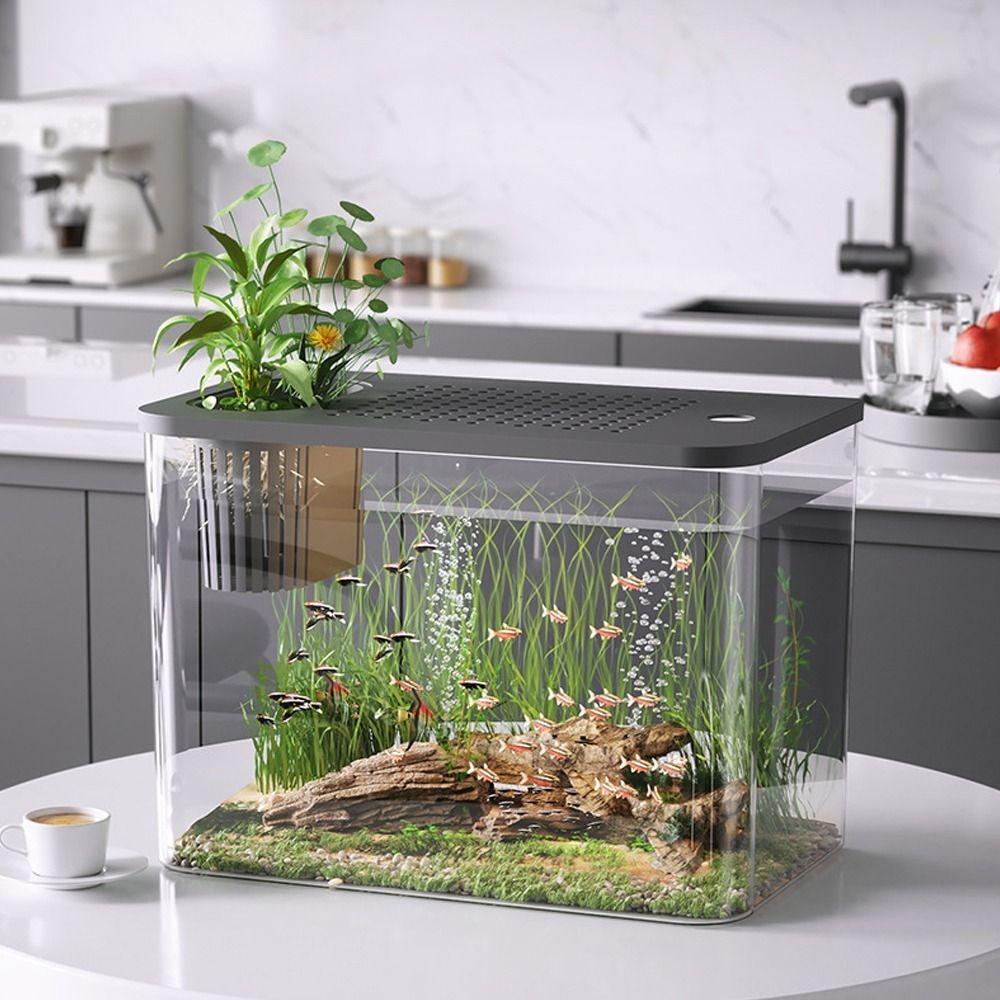 With Lid Hydroponic Fish Bowls Small Betta Aquarium Tank Durable Fish Tank  For Home Decorative