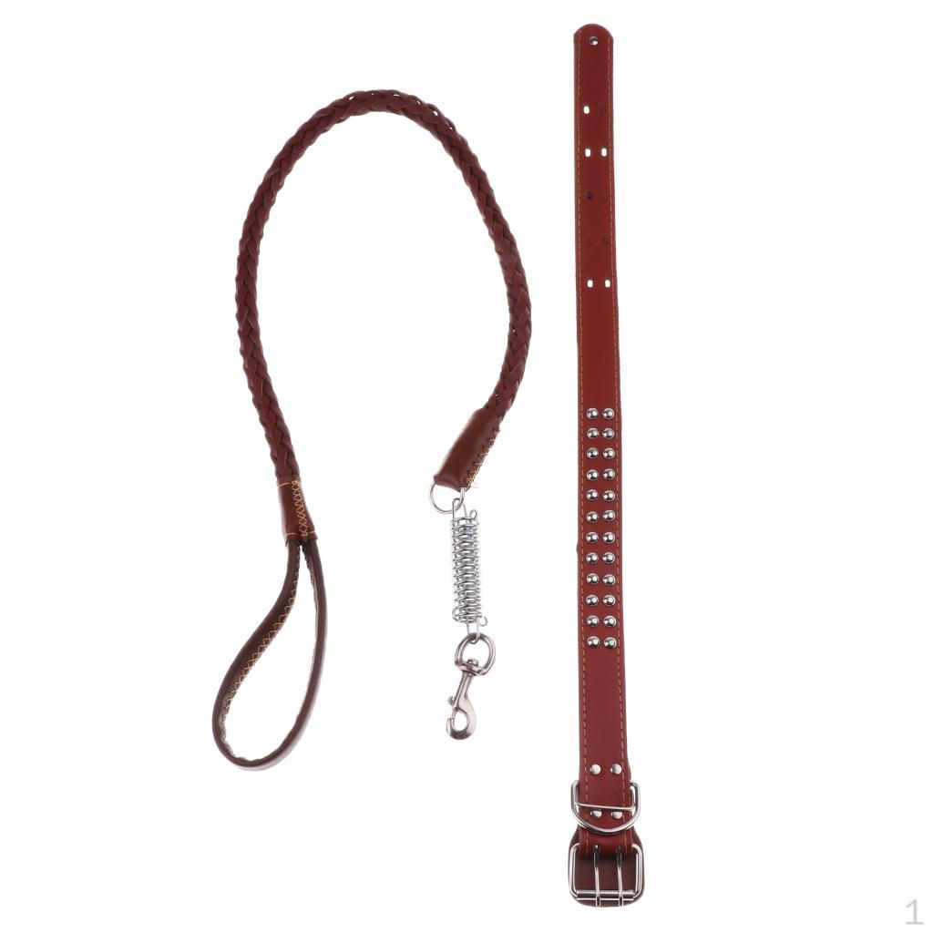 Pet Walking Training Dogs Leashes Medium Puppy Black,Brown