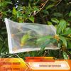 White Nylon Garden Insect Net Drawstring Cover for Plants & Fruit Trees