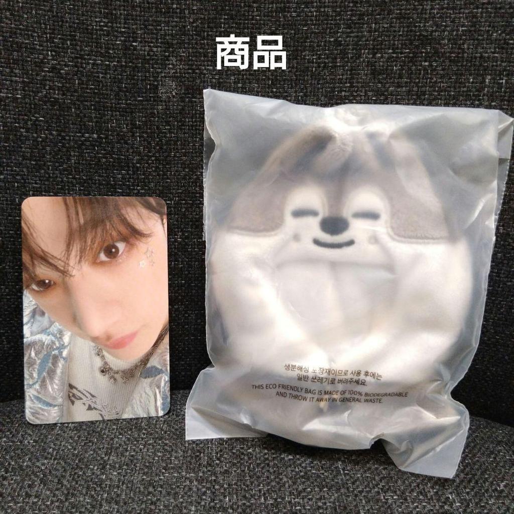 [USED] StrayKids SKZOO 10cm PLUSH OUTFIT Bang Chan